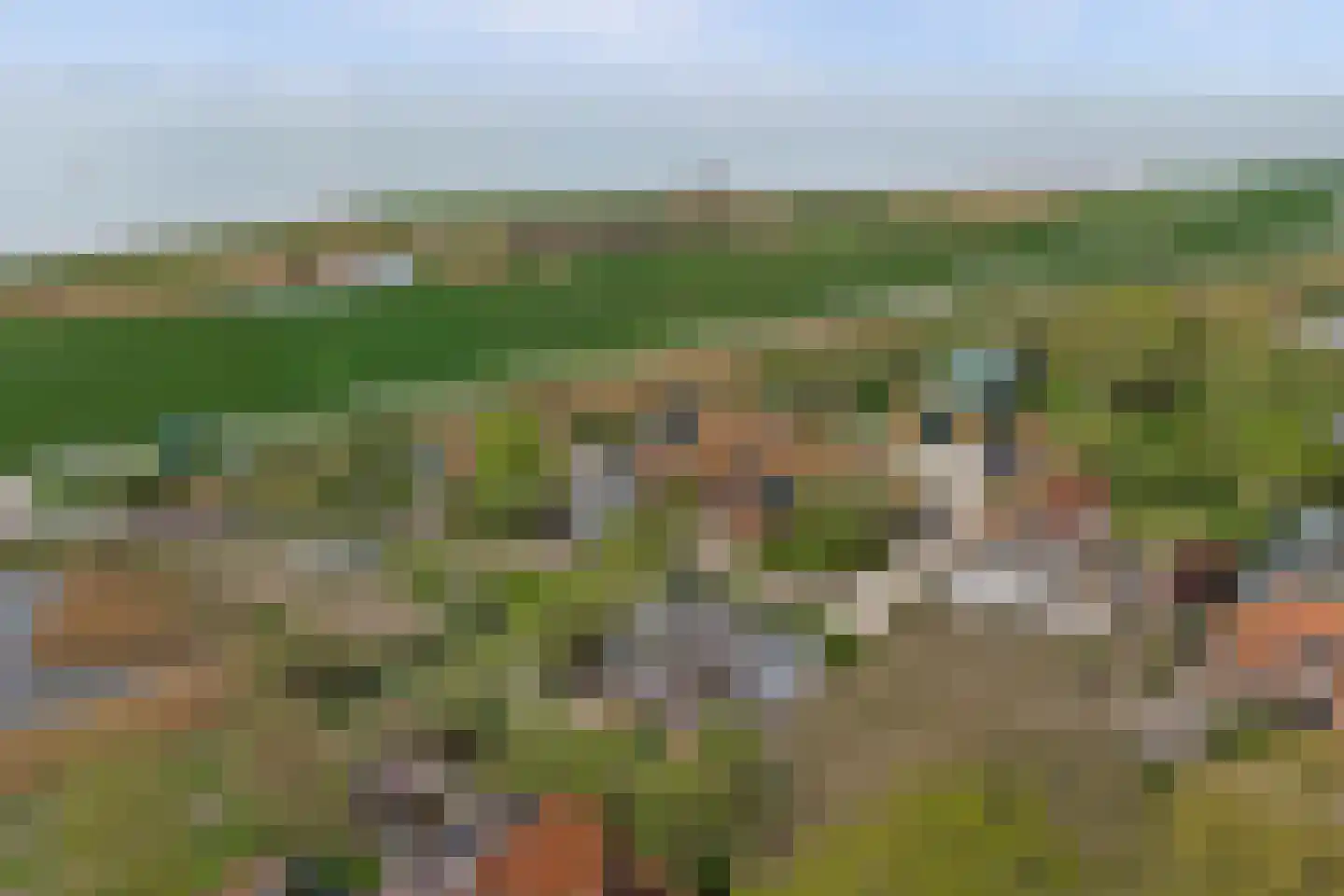 Hellewoudstraat 3 Ellewoutsdijk thumbnail 56
