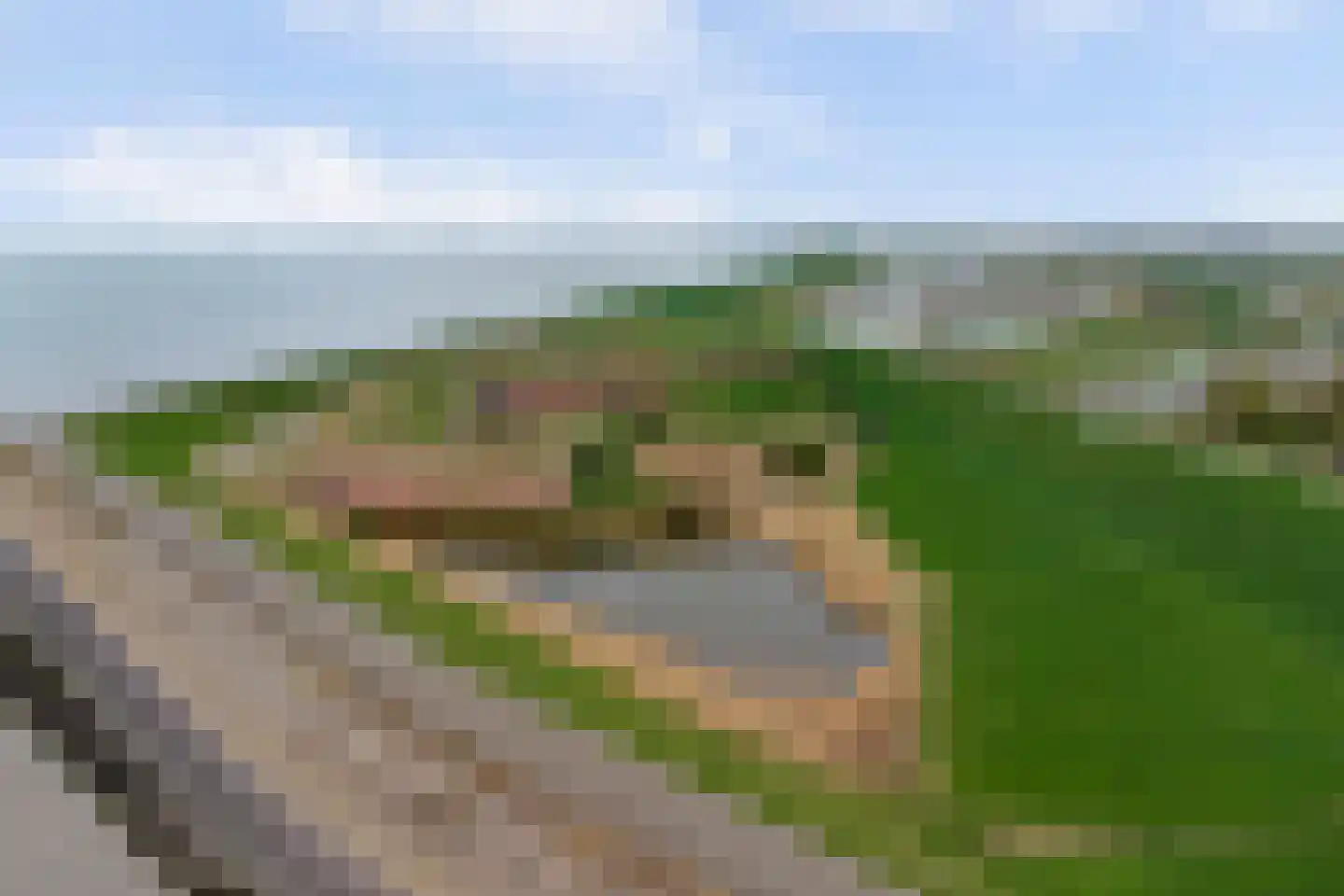Hellewoudstraat 3 Ellewoutsdijk thumbnail 58