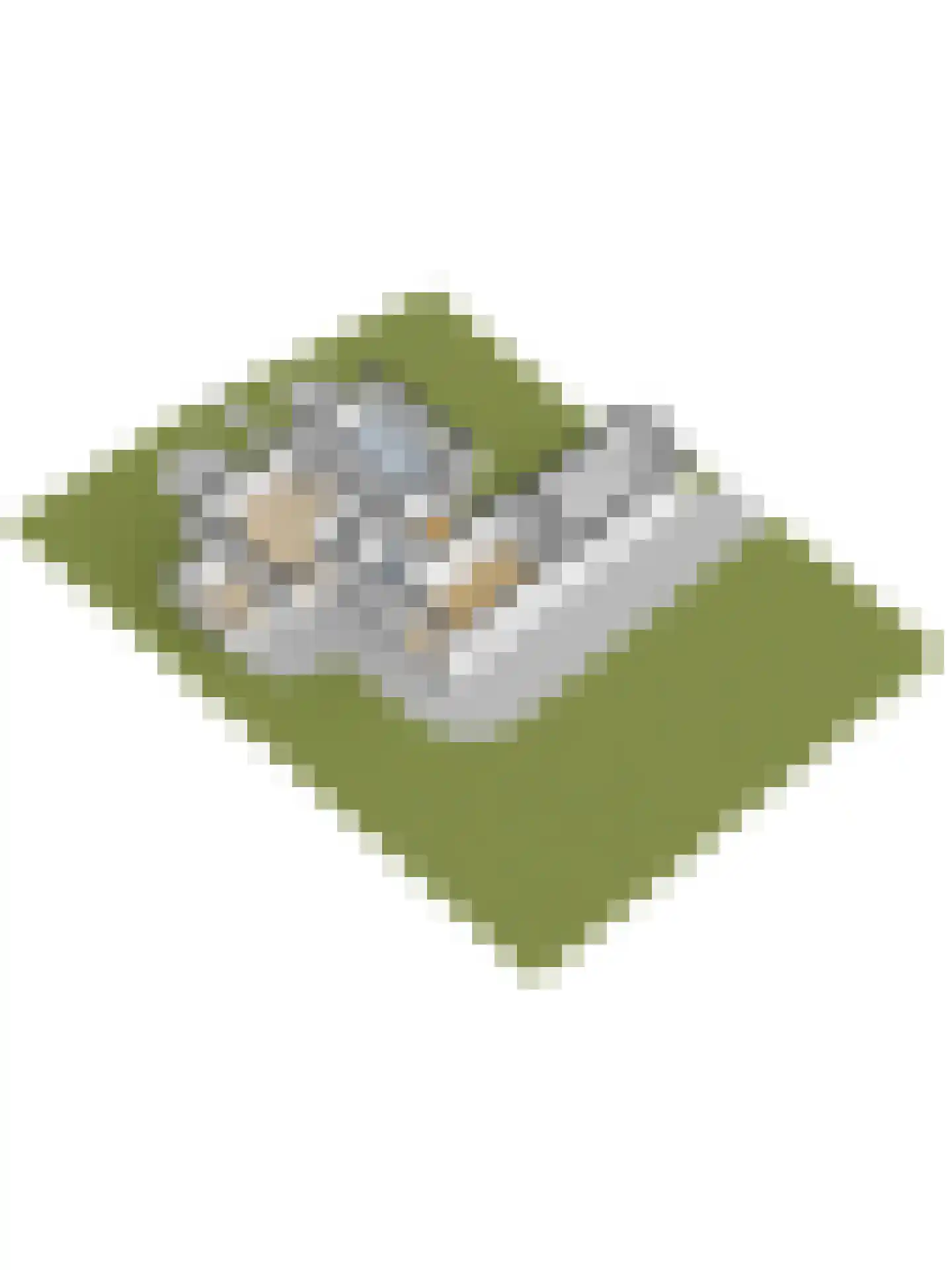 Hellewoudstraat 3 Ellewoutsdijk thumbnail 64