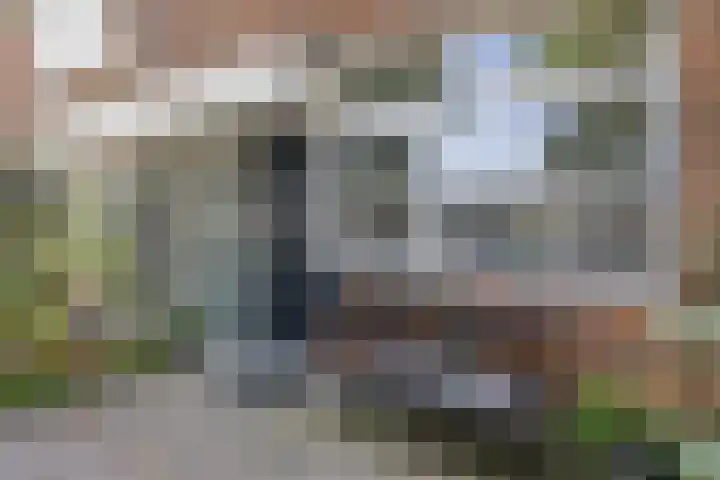 Helling 11 Drachten thumbnail 10