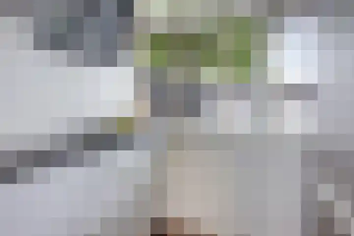 Helling 11 Drachten thumbnail 21