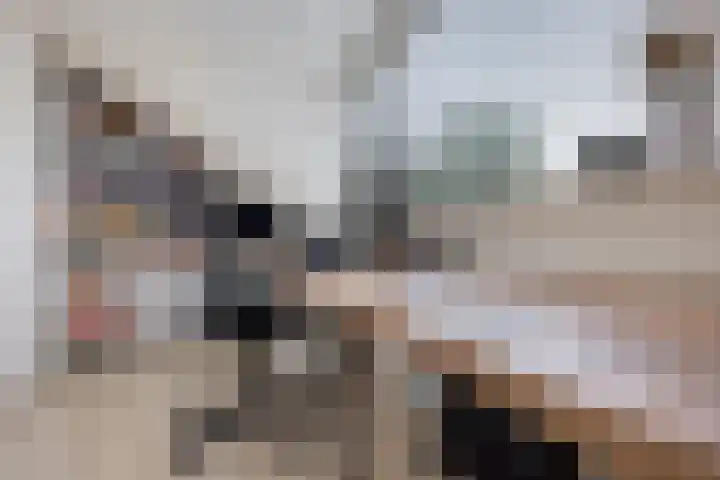 Helling 11 Drachten thumbnail 37