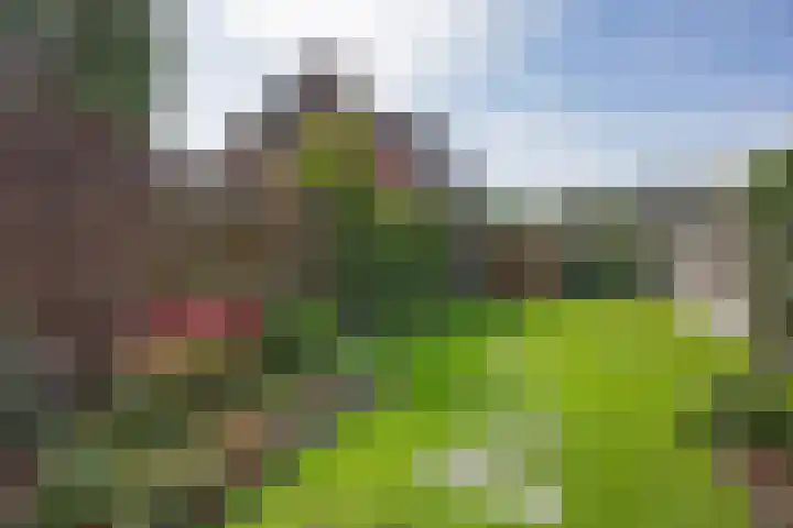 Helling 11 Drachten thumbnail 46