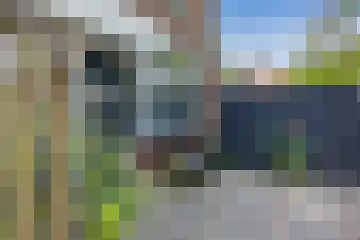 Helling 11 Drachten thumbnail 8