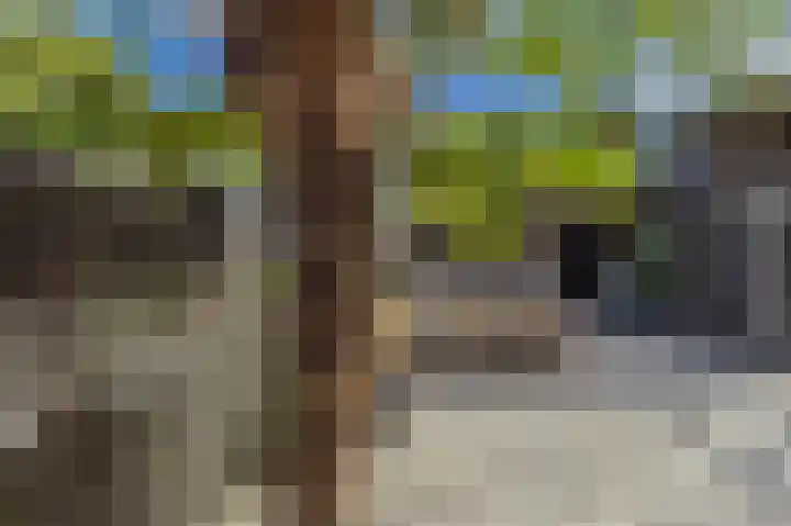Helling 12 Hardinxveld-Giessendam thumbnail 32