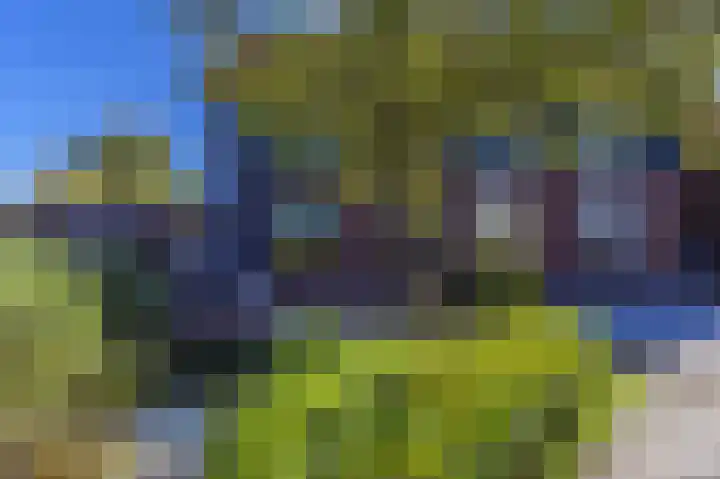 Helling 12 Hardinxveld-Giessendam thumbnail 44