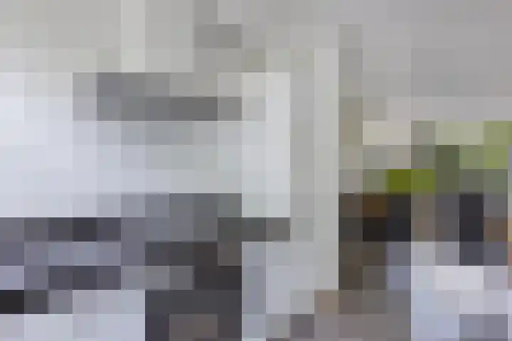 Helling 17 Drachten thumbnail 25
