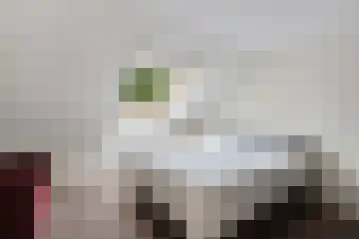 Helling 17 Drachten thumbnail 36