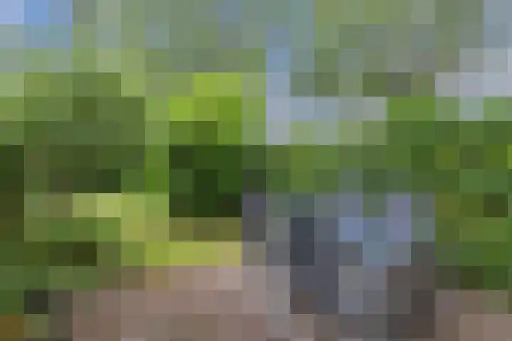 Helling 17 Drachten thumbnail 41