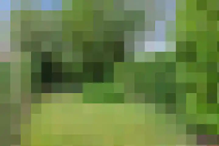 Helling 17 Drachten thumbnail 42