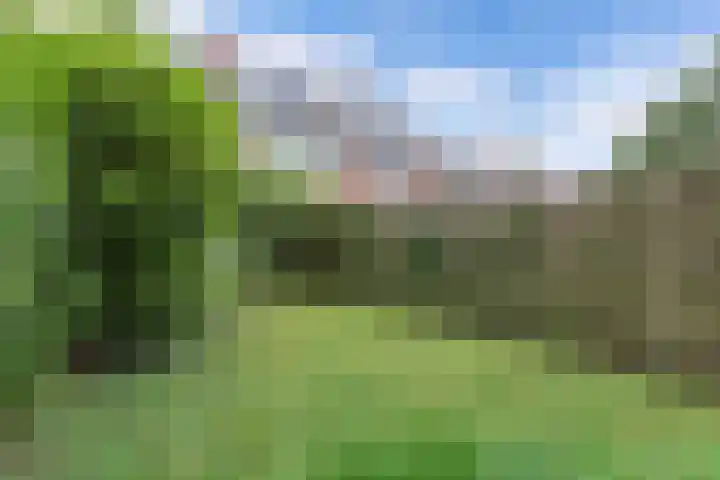 Helling 17 Drachten thumbnail 43