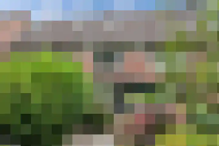 Helling 17 Drachten thumbnail 6