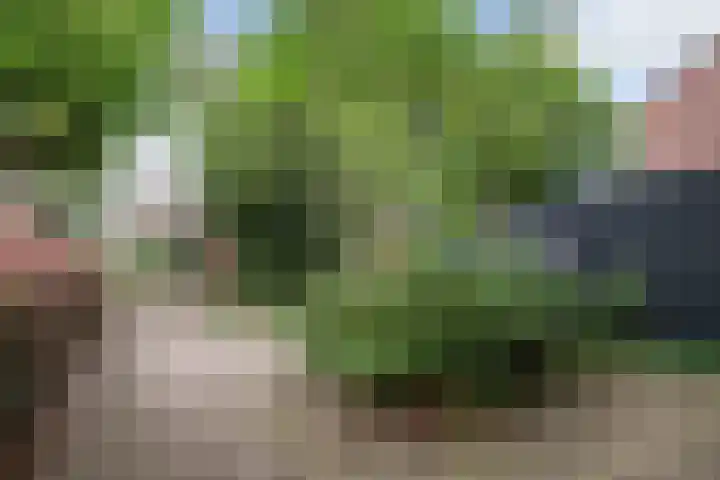 Helling 17 Drachten thumbnail 9