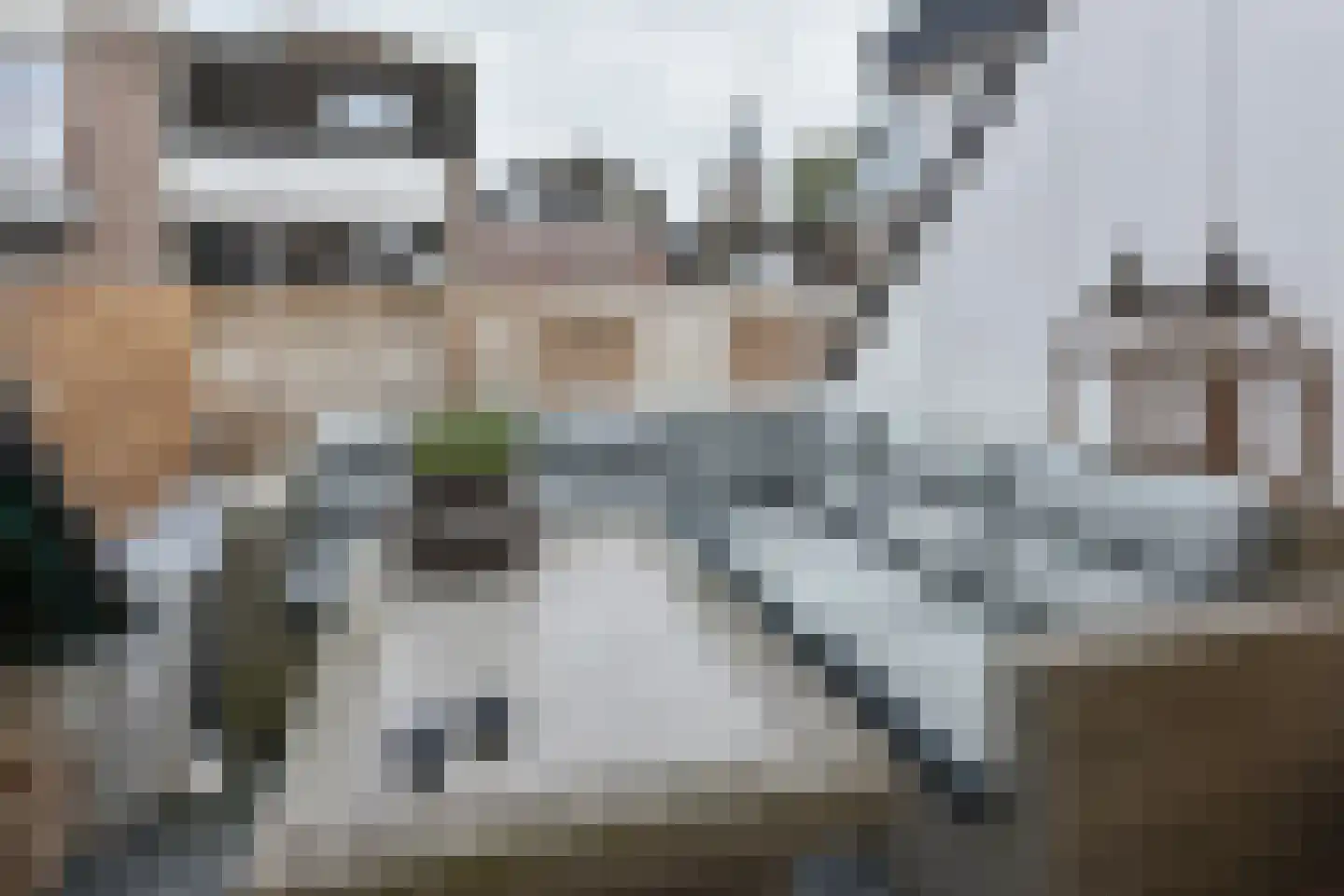 Helling 18 Aalsmeer thumbnail 16