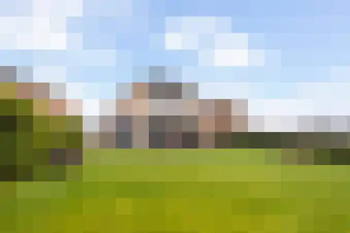 Helling 23 Stiens thumbnail 30