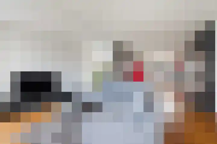 Helling 23 Stiens thumbnail 7