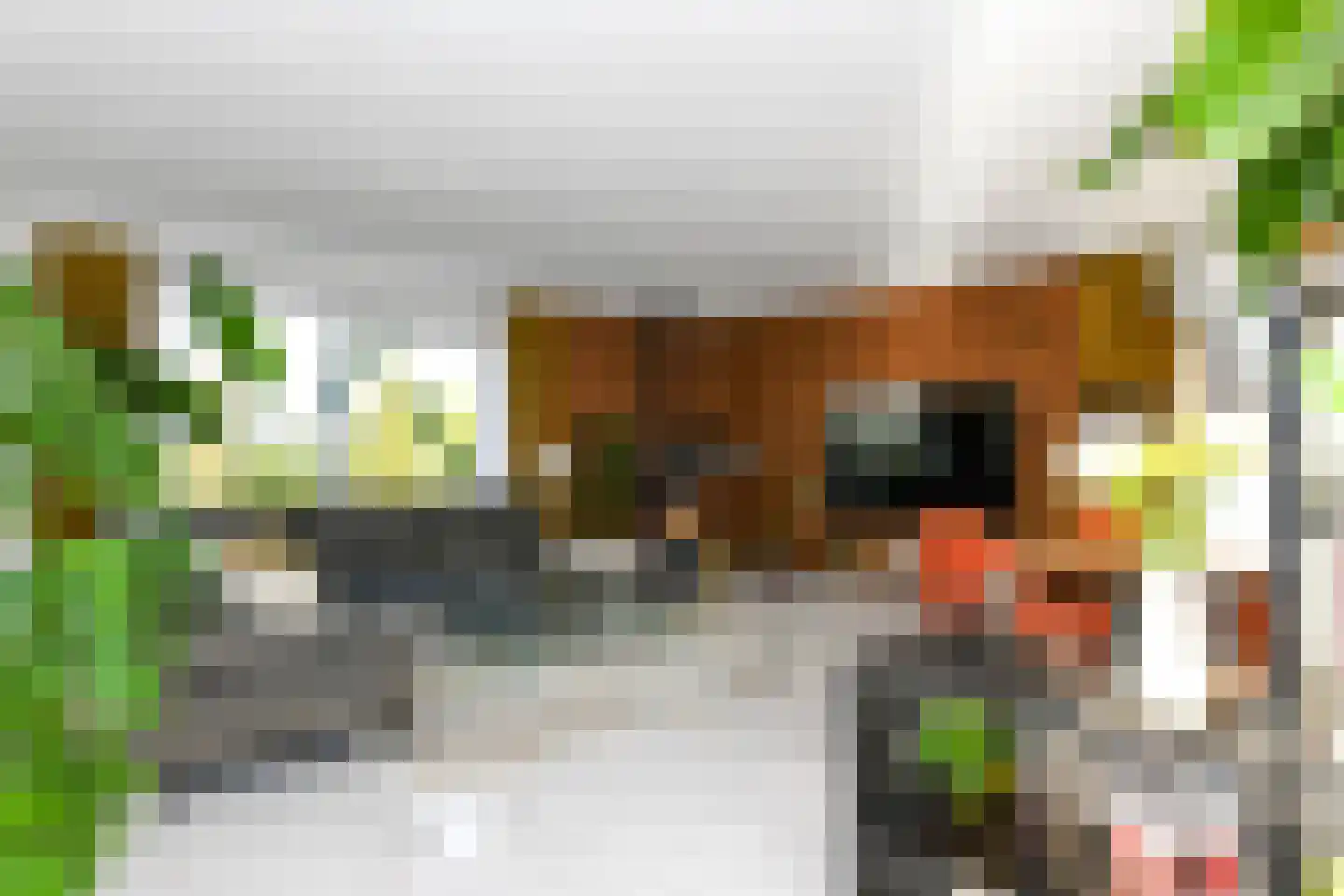 Helling 4 Zeewolde thumbnail 7