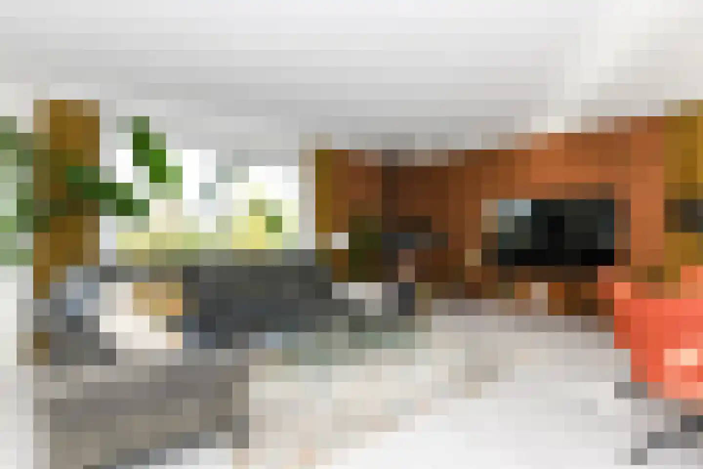 Helling 4 Zeewolde thumbnail 8