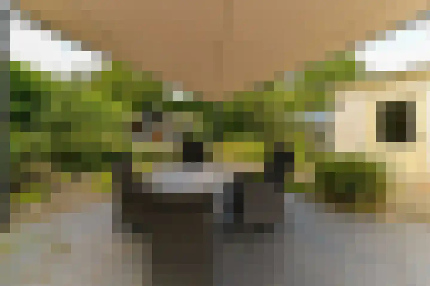 Helling 40 Baarlo thumbnail 22