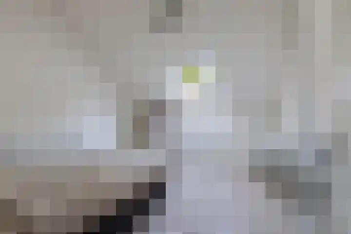 Helling 51 Drachten thumbnail 39
