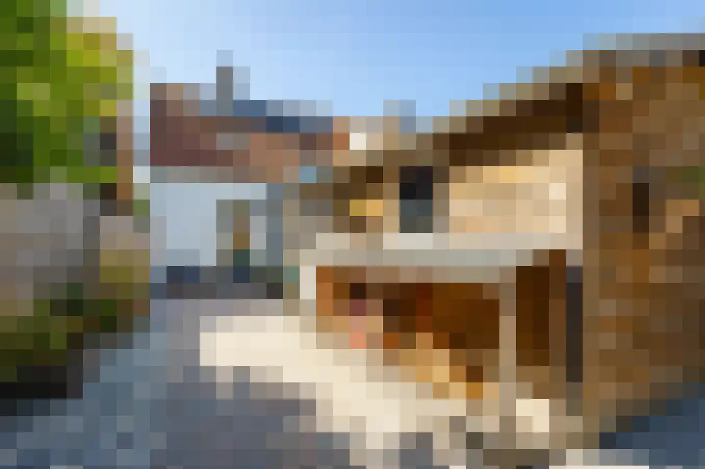 Helling 6 Hardinxveld-Giessendam thumbnail 27