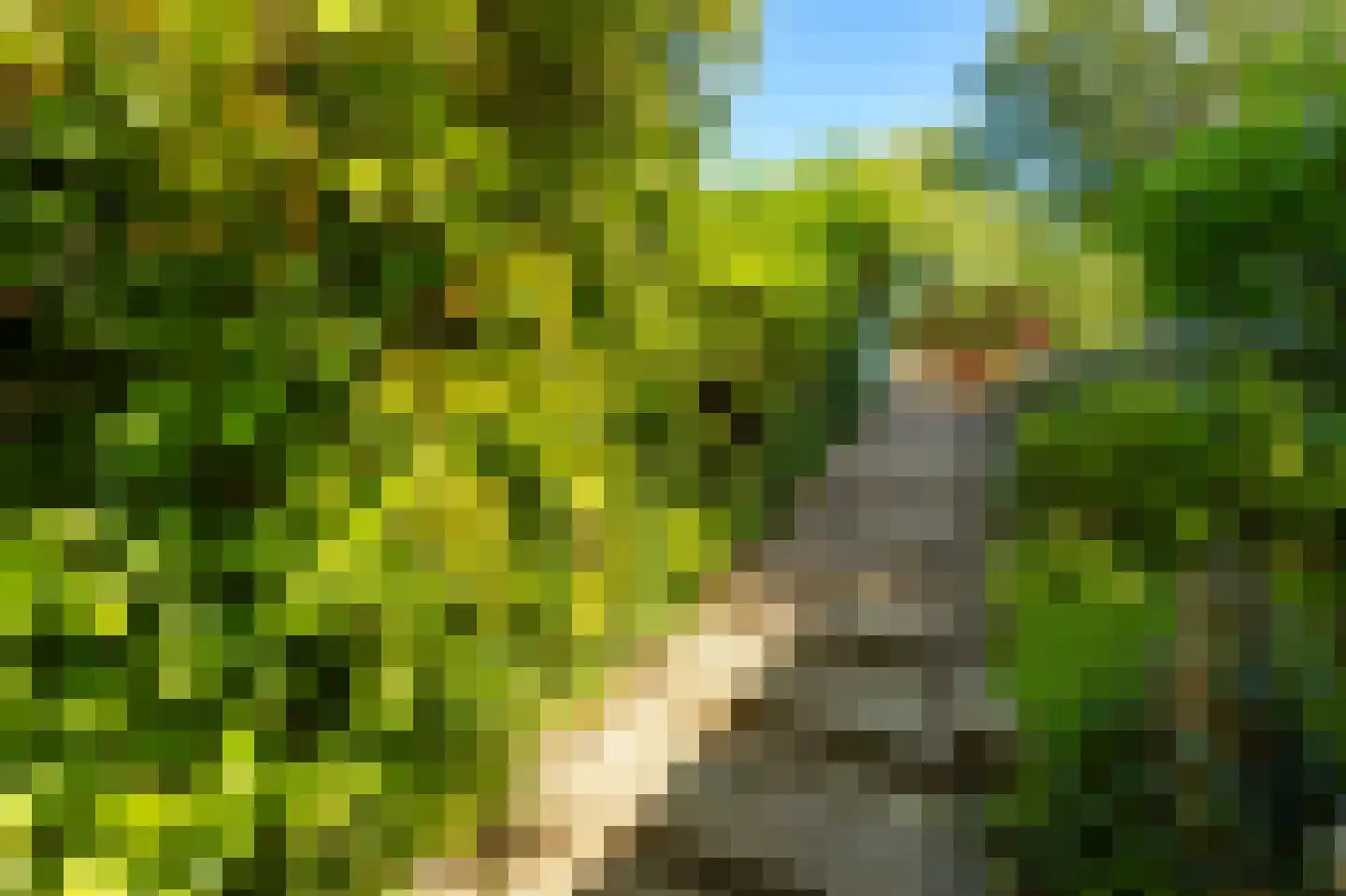 Helling 6 Hardinxveld-Giessendam thumbnail 30