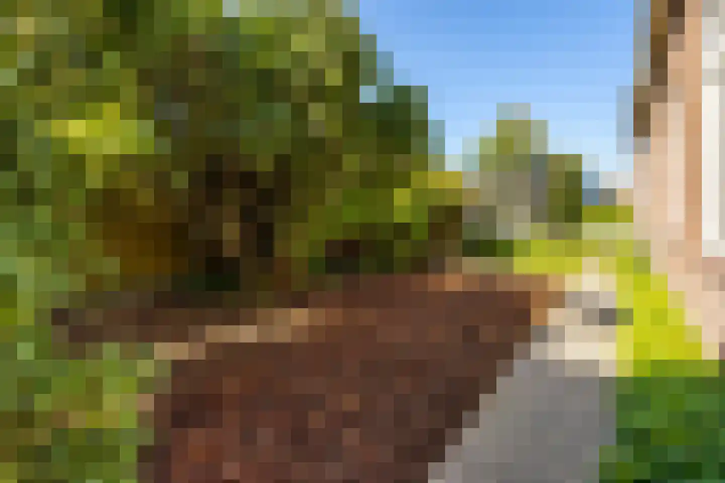 Helling 6 Hardinxveld-Giessendam thumbnail 32