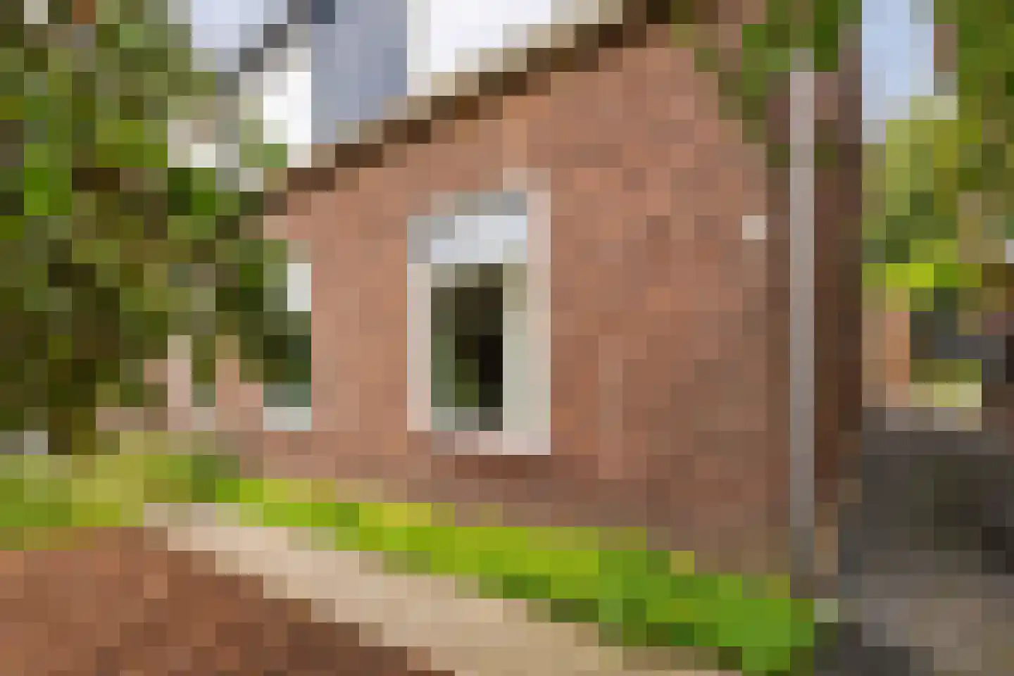 Helling 6 Hardinxveld-Giessendam thumbnail 33
