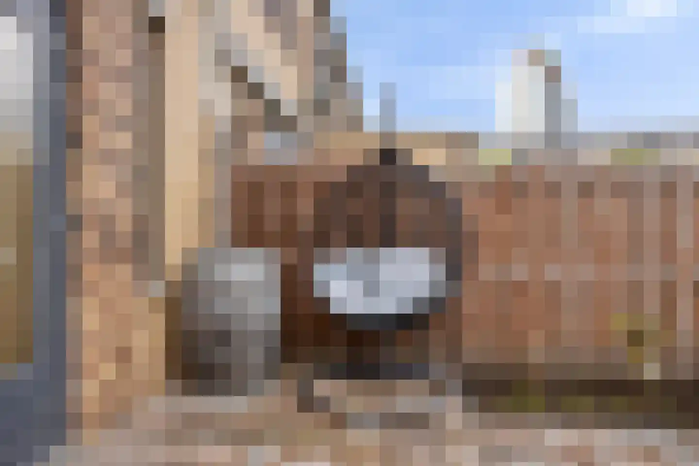 Hellingbaan 16 Ridderkerk thumbnail 28