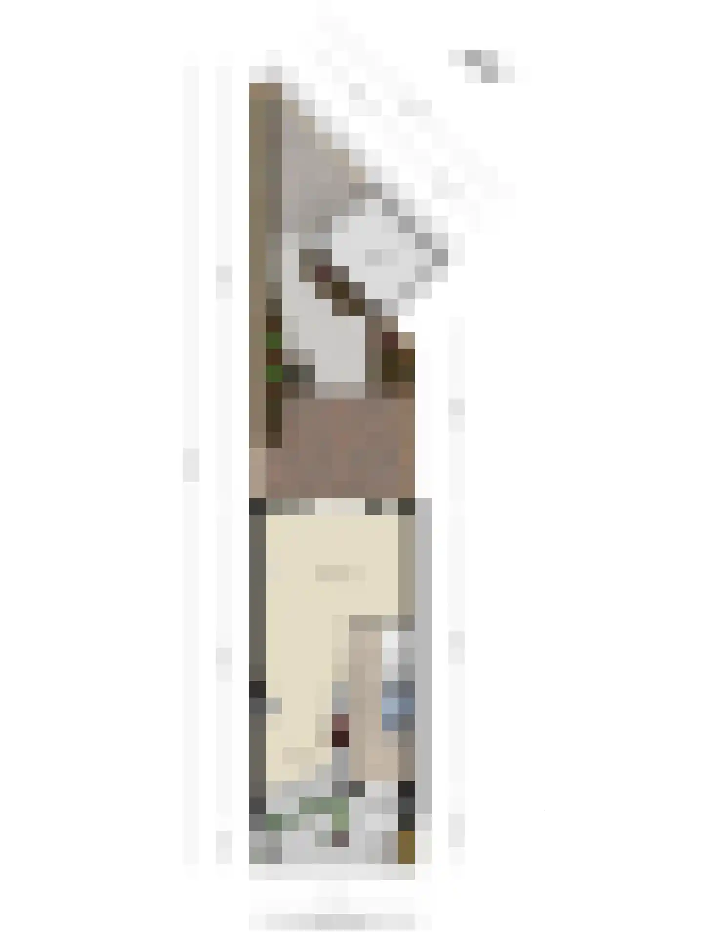 Hellingbaan 16 Ridderkerk thumbnail 39