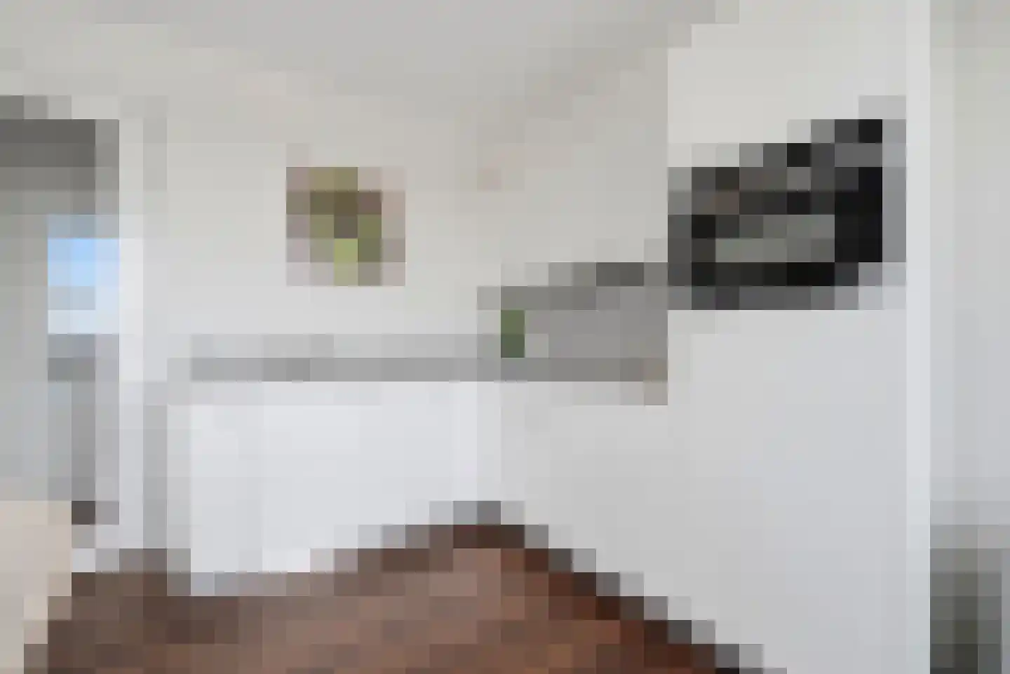 Hellingbaan 341 Vlissingen thumbnail 15