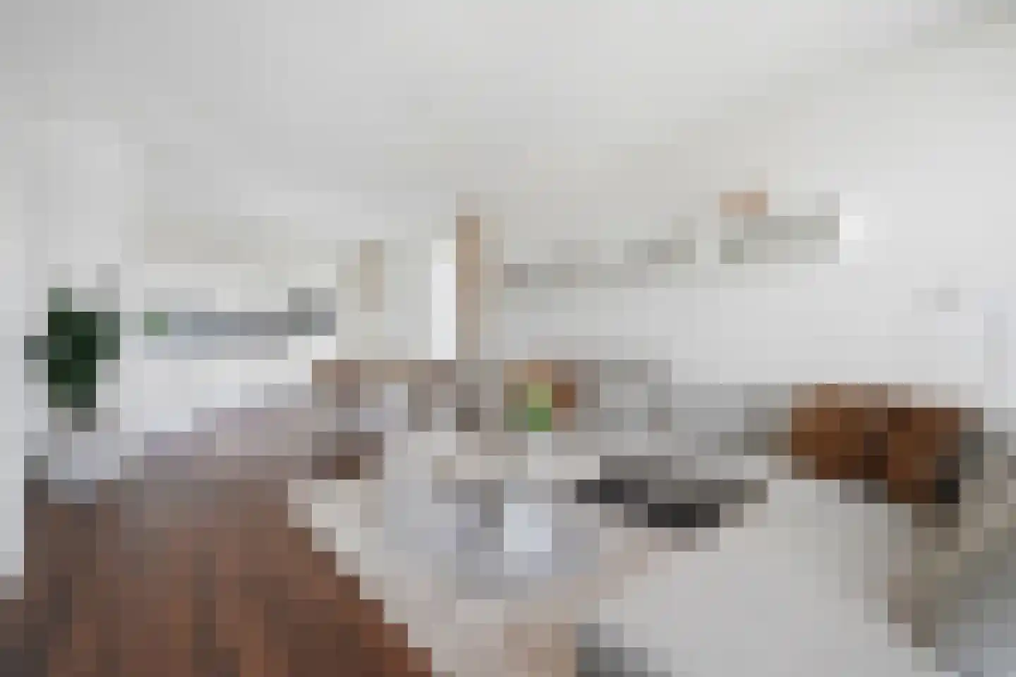 Hellingbaan 341 Vlissingen thumbnail 18