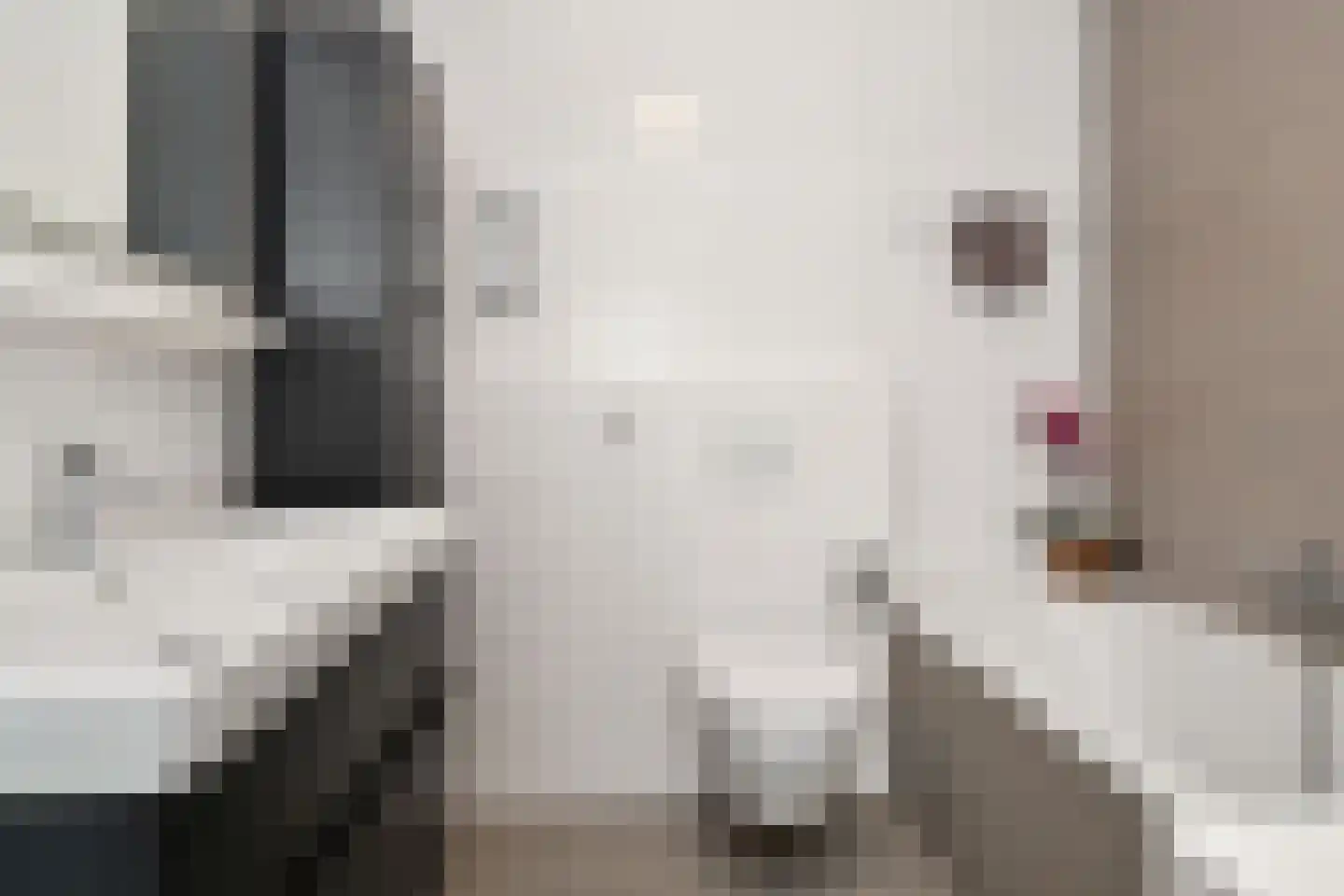 Hellingkade 244 Den Haag thumbnail 35