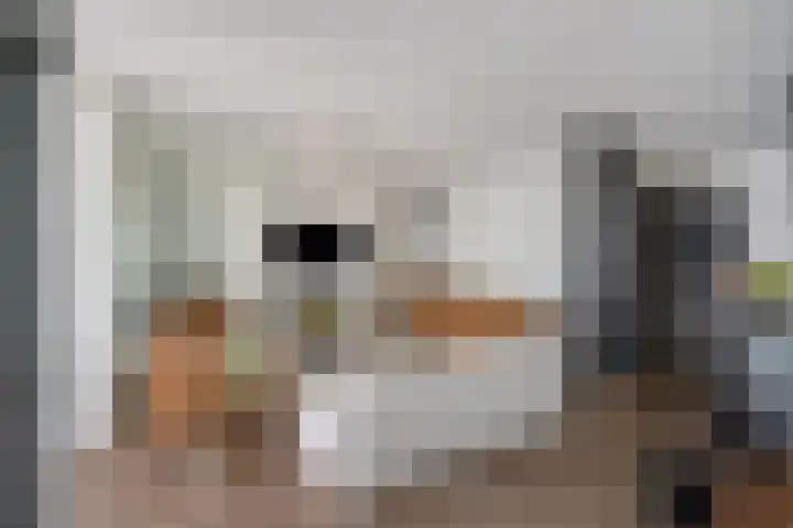 Hellingkade 292 Den Haag thumbnail 15