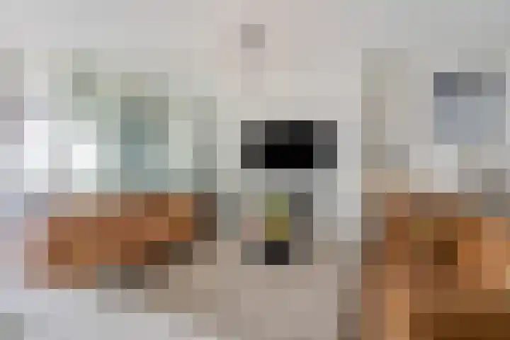 Hellingkade 292 Den Haag thumbnail 16