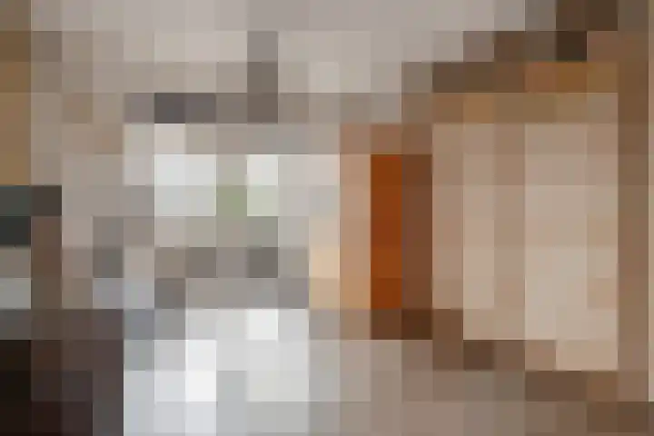 Hellingkade 292 Den Haag thumbnail 19