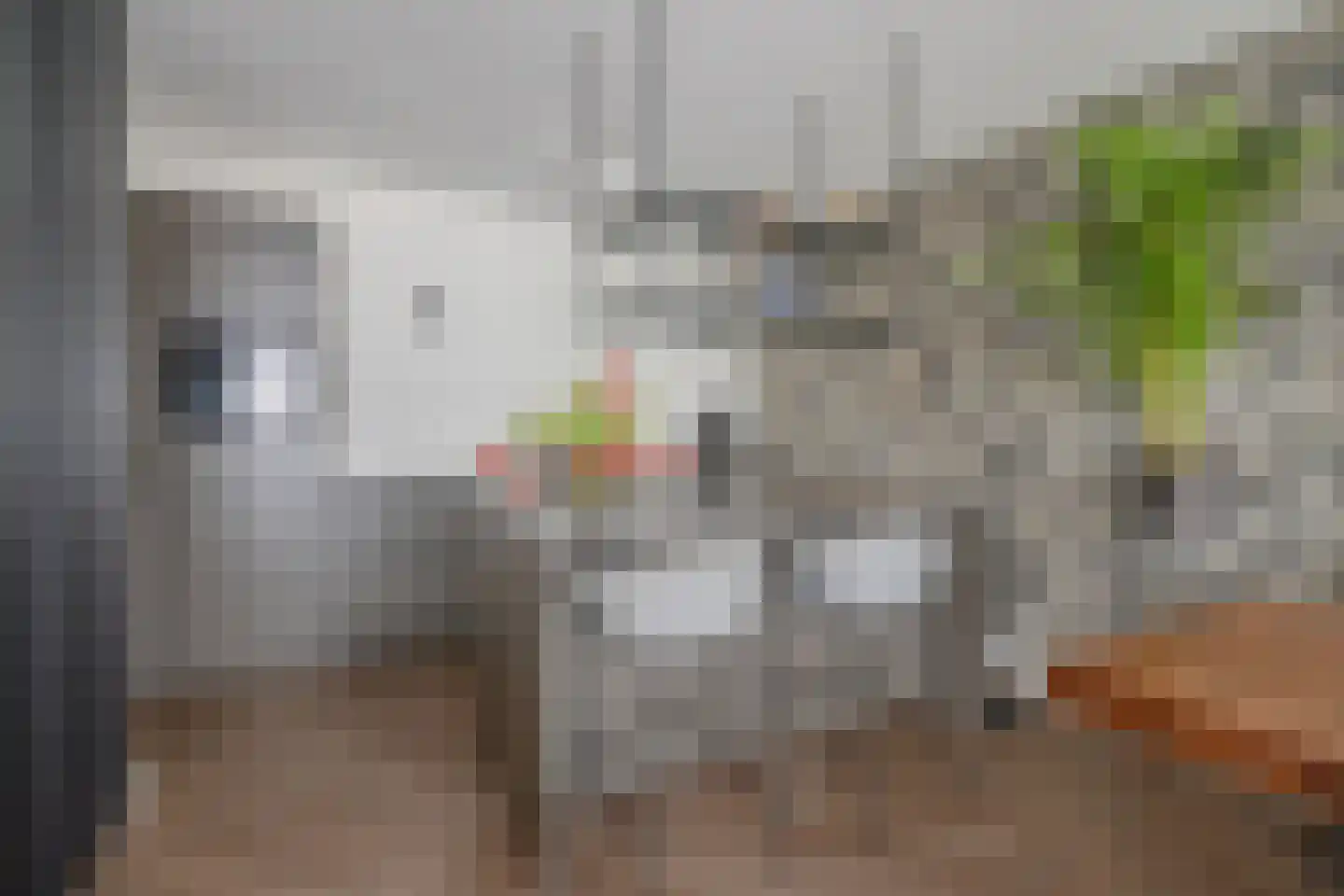 Hellingkade 292 Den Haag thumbnail 9