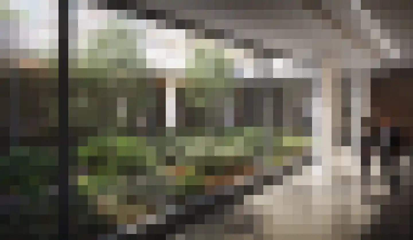 Hellingkade 424 Den Haag thumbnail 13