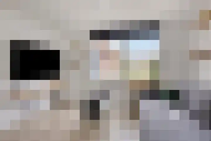 Hellingpad 11 Haskerdijken thumbnail 19
