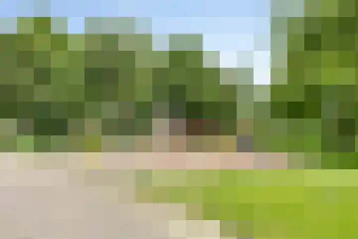 Hellingpad 11 Haskerdijken thumbnail 43