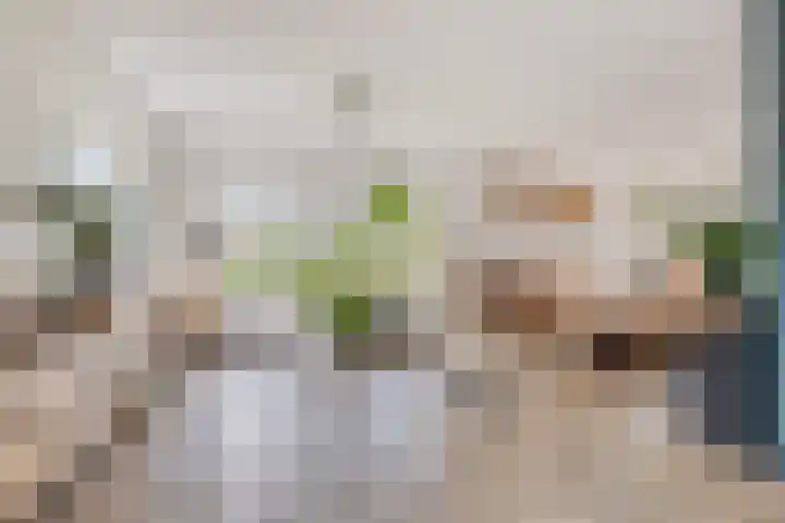Hellingpad 11 Haskerdijken thumbnail 6