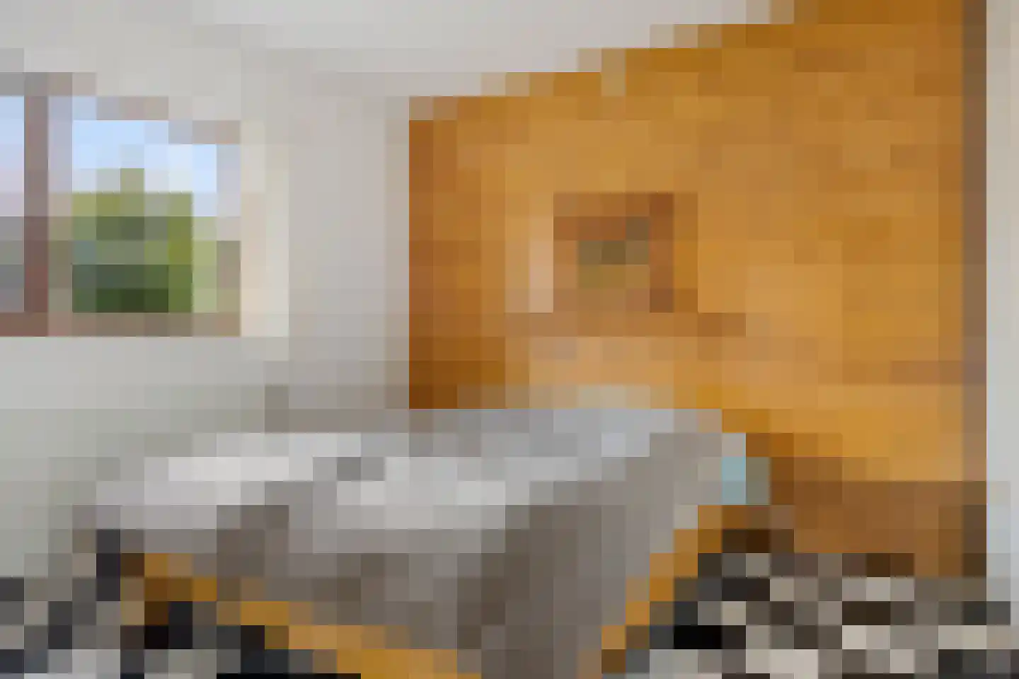 Hellingpad 5 Haskerdijken thumbnail 18