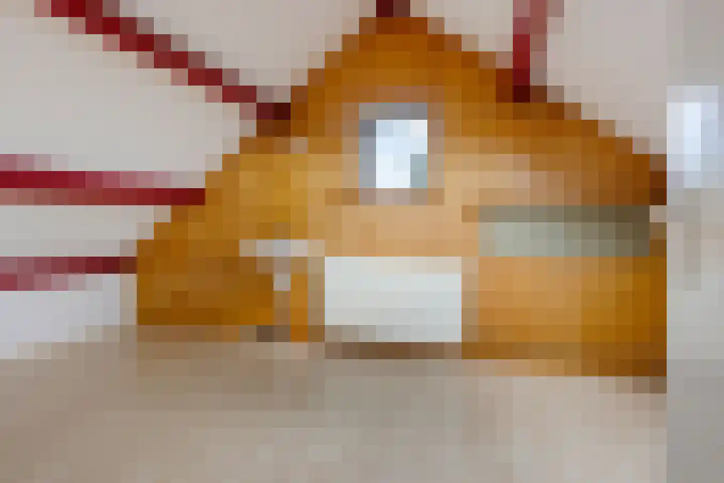 Hellingpad 5 Haskerdijken thumbnail 28