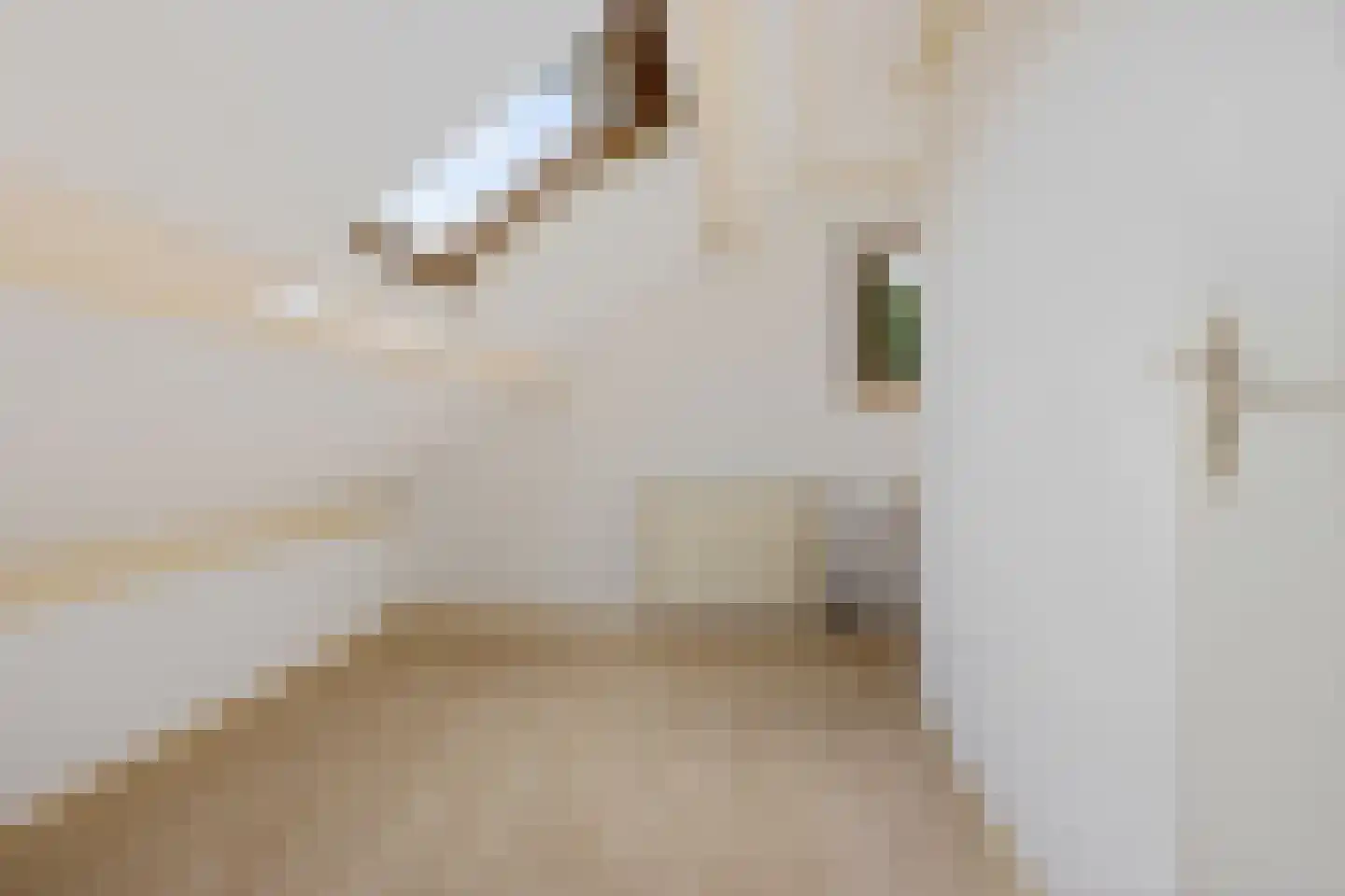Hellingpad 5 Haskerdijken thumbnail 33