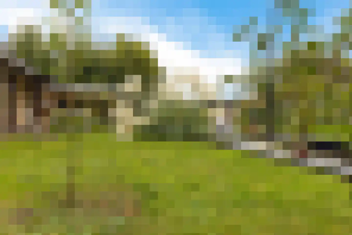 Hellingpad 5 Haskerdijken thumbnail 38