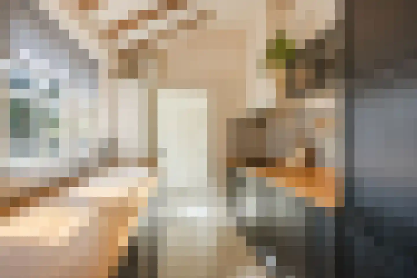 Hellingstraat 25 Noordwolde thumbnail 17