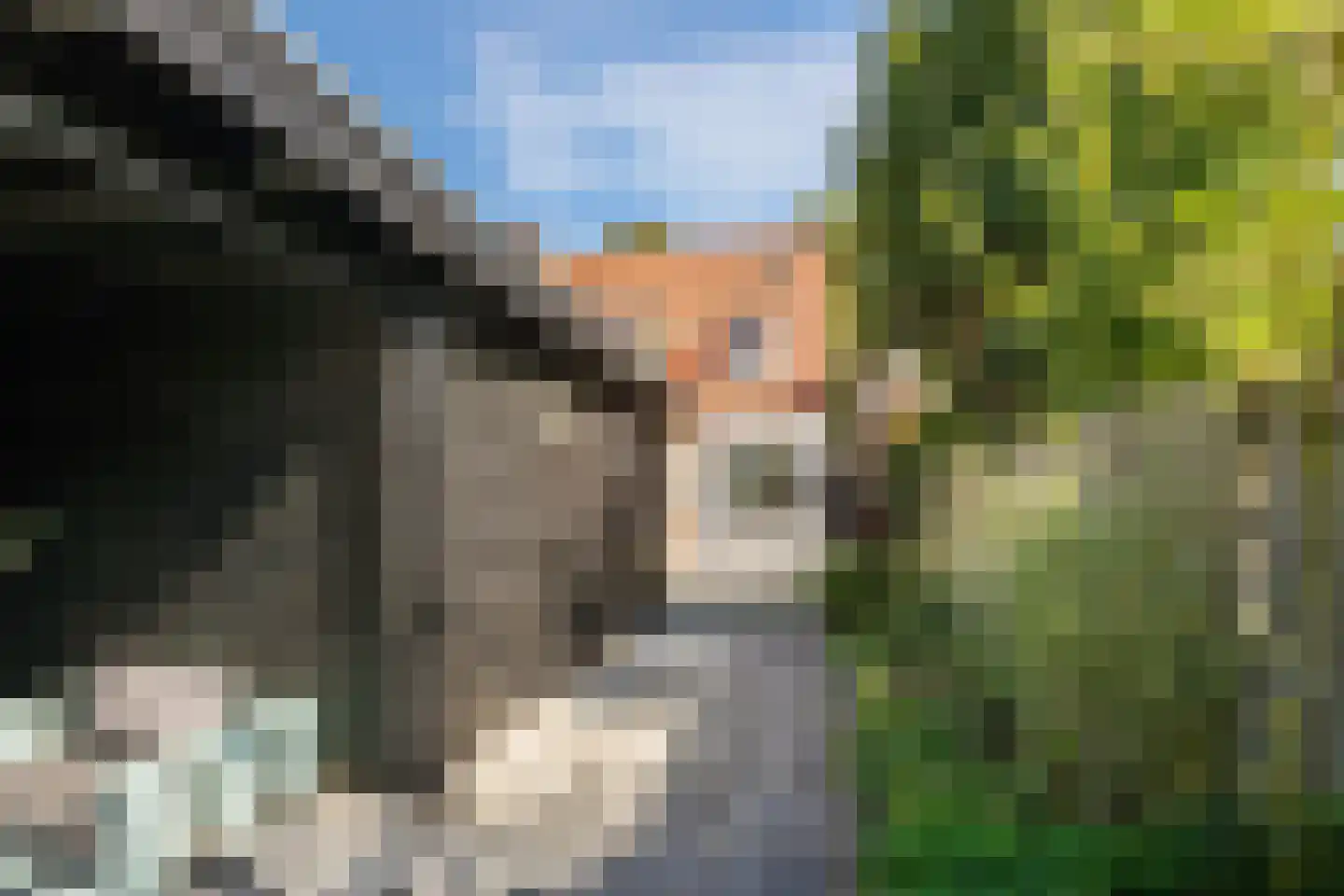 Hellingstraat 25 Noordwolde thumbnail 35