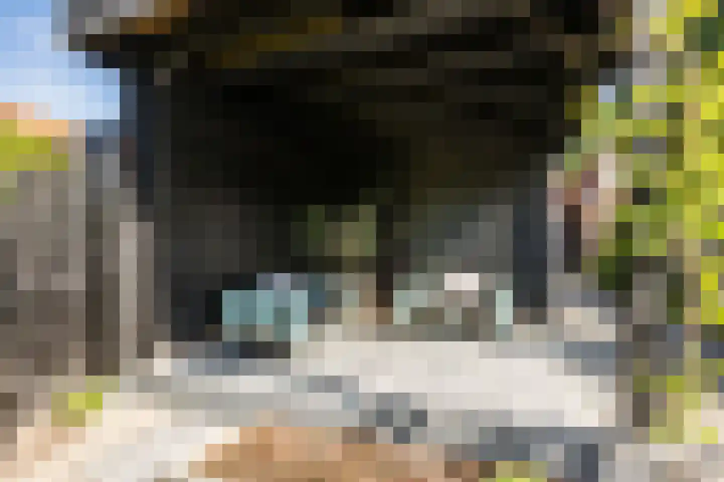 Hellingstraat 25 Noordwolde thumbnail 36