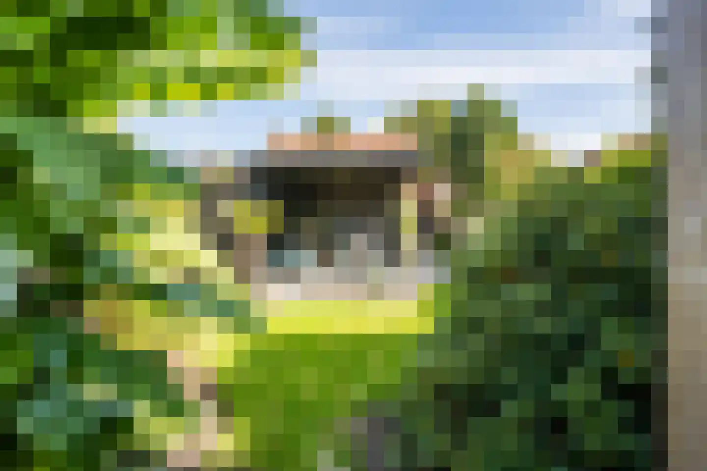Hellingstraat 25 Noordwolde thumbnail 37