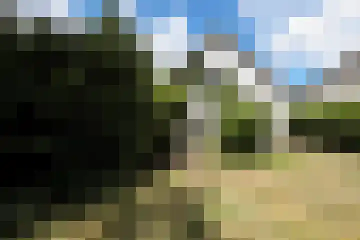 Hellingweg 10 Soest thumbnail 34